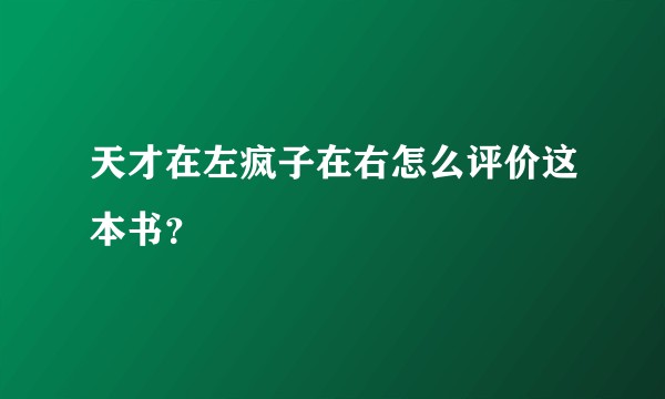 天才在左疯子在右怎么评价这本书？