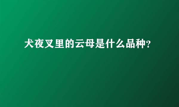 犬夜叉里的云母是什么品种？