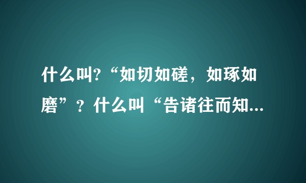 什么叫?“如切如磋，如琢如磨”？什么叫“告诸往而知来者。”?