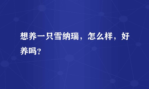想养一只雪纳瑞，怎么样，好养吗？