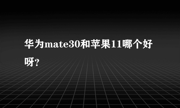 华为mate30和苹果11哪个好呀?