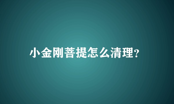 小金刚菩提怎么清理?