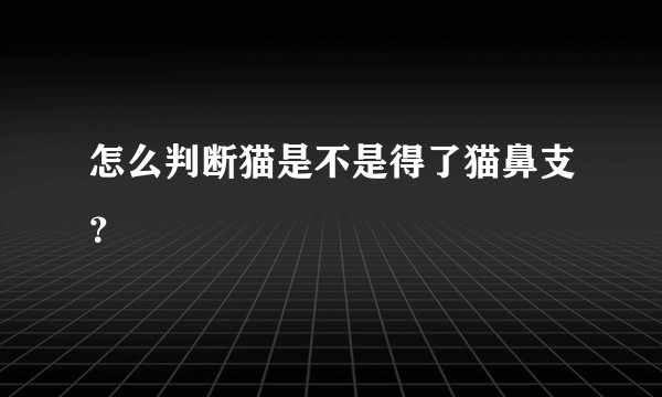 怎么判断猫是不是得了猫鼻支？