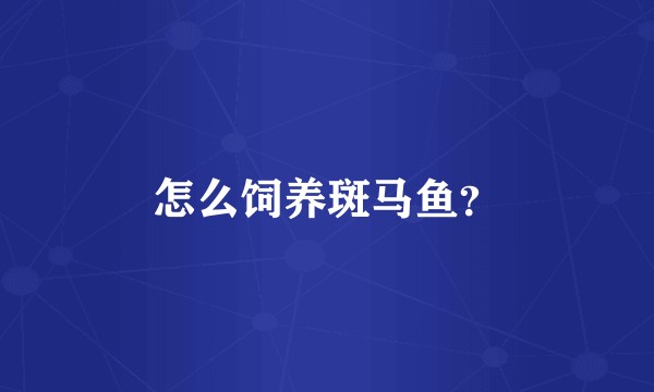 怎么饲养斑马鱼?