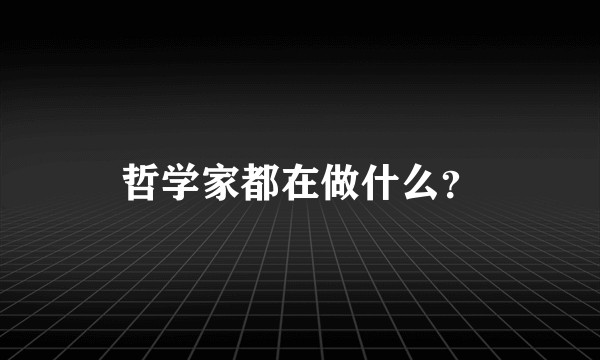 哲学家都在做什么？