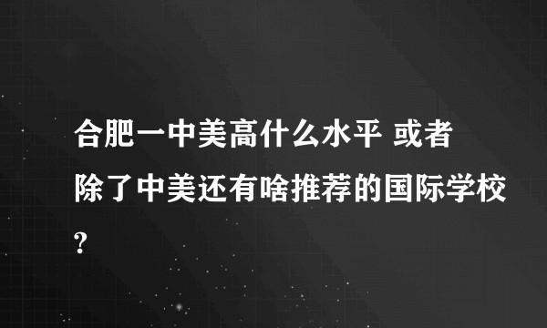 合肥一中美高什么水平 或者除了中美还有啥推荐的国际学校?