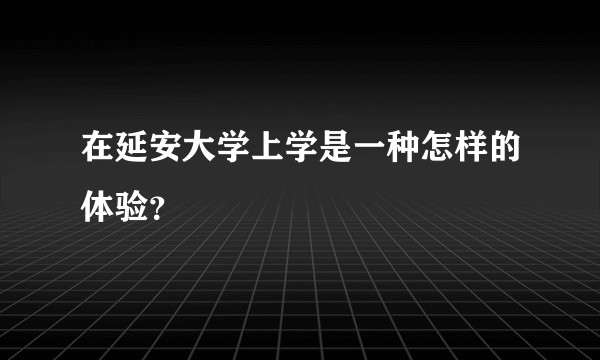 在延安大学上学是一种怎样的体验？