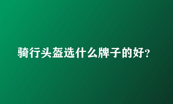 骑行头盔选什么牌子的好？