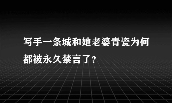 写手一条城和她老婆青瓷为何都被永久禁言了？
