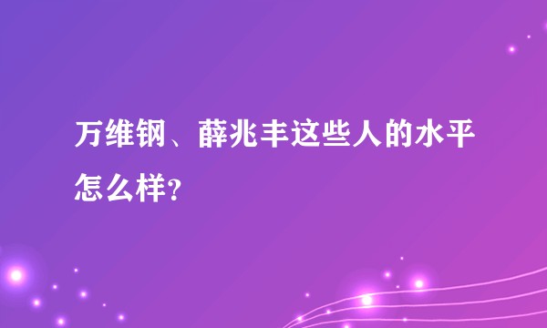 万维钢、薛兆丰这些人的水平怎么样？