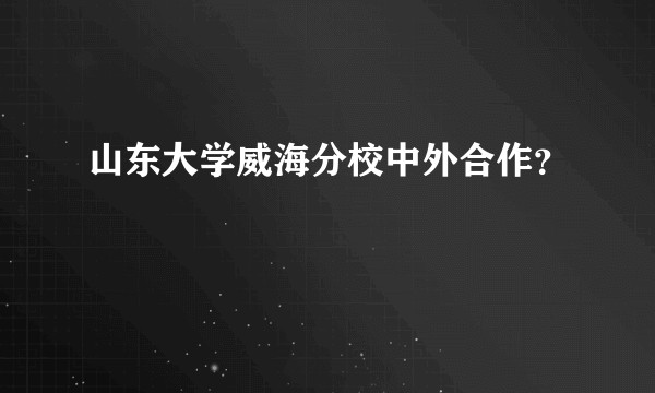 山东大学威海分校中外合作？