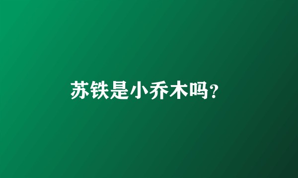 苏铁是小乔木吗？
