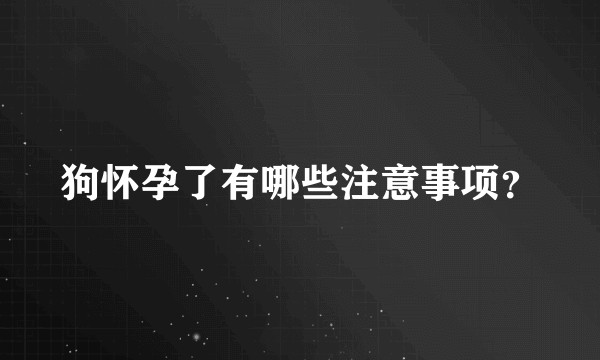 狗怀孕了有哪些注意事项?