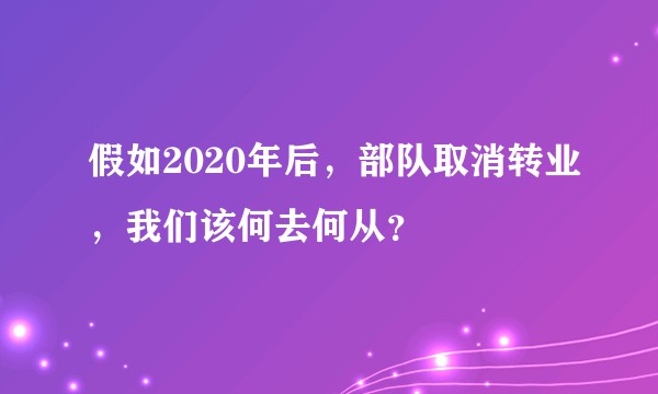 假如2020年后，部队取消转业，我们该何去何从？