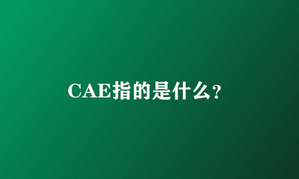 CAE指的是什么？