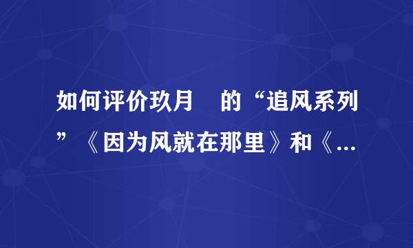 如何评价玖月晞的“追风系列”《因为风就在那里》和《他知道风从哪个方向来》这两本书？
