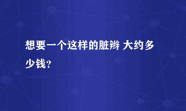 想要一个这样的脏辫 大约多少钱？