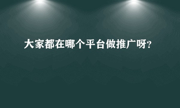 大家都在哪个平台做推广呀？