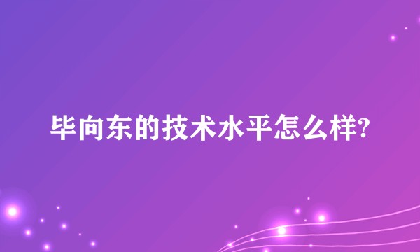 毕向东的技术水平怎么样?