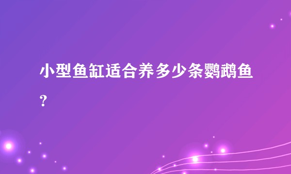 小型鱼缸适合养多少条鹦鹉鱼？