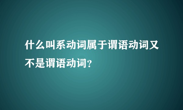 什么叫系动词属于谓语动词又不是谓语动词？