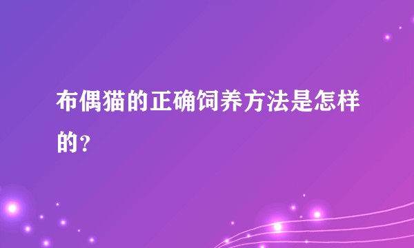 布偶猫的正确饲养方法是怎样的？