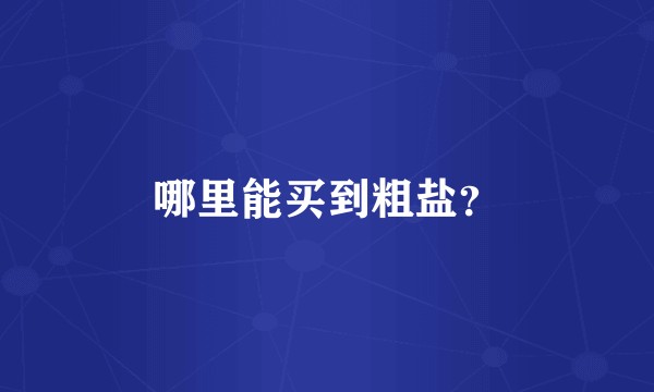哪里能买到粗盐？