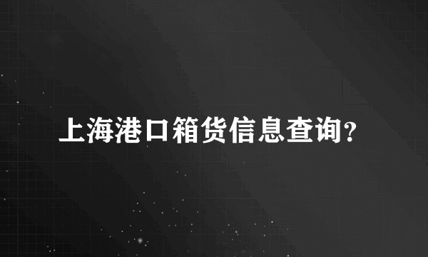 上海港口箱货信息查询？