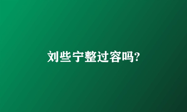 刘些宁整过容吗?