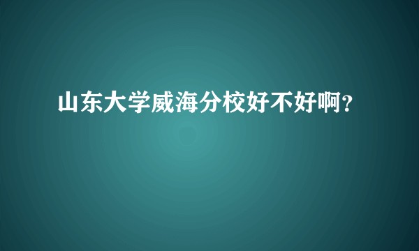 山东大学威海分校好不好啊？