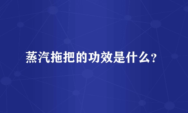 蒸汽拖把的功效是什么?