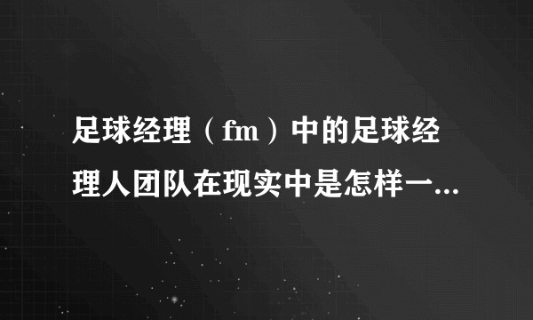 足球经理（fm）中的足球经理人团队在现实中是怎样一种存在，主要负责什么样的工作?