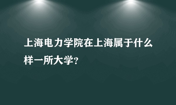 上海电力学院在上海属于什么样一所大学？
