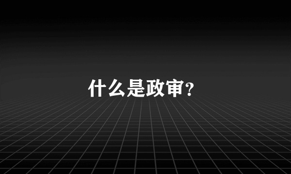 什么是政审？