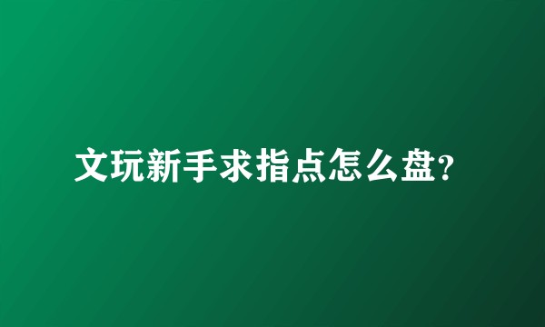 文玩新手求指点怎么盘？