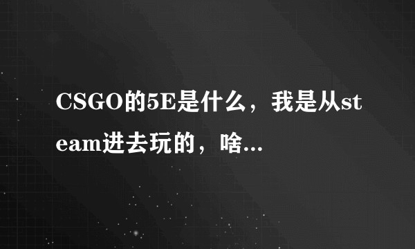 CSGO的5E是什么，我是从steam进去玩的，啥是5E？