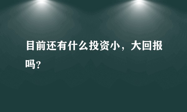 目前还有什么投资小,大回报吗?