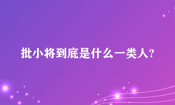 批小将到底是什么一类人?