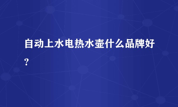 自动上水电热水壶什么品牌好？