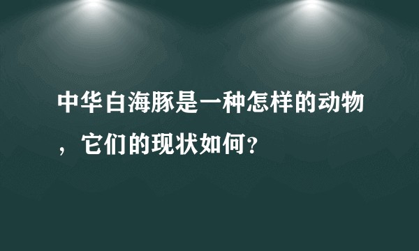 中华白海豚是一种怎样的动物，它们的现状如何？