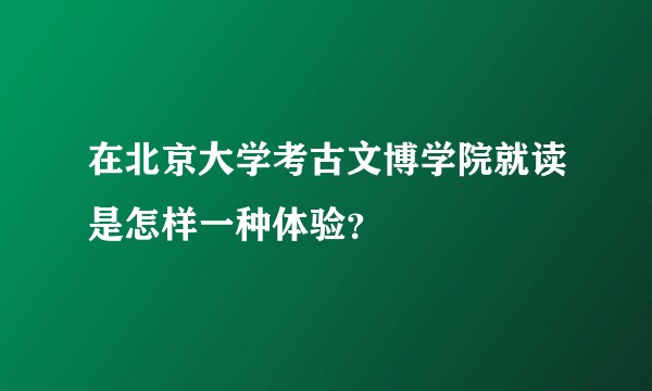 在北京大学考古文博学院就读是怎样一种体验？