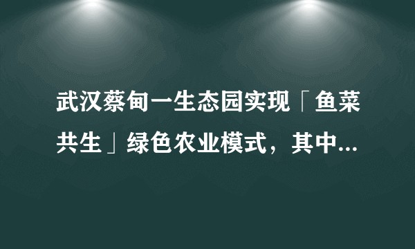 武汉蔡甸一生态园实现「鱼菜共生」绿色农业模式，其中的原理是什么？对未来绿色农业发展有何影响？