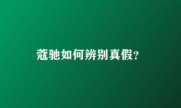蔻驰如何辨别真假？