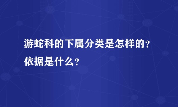 游蛇科的下属分类是怎样的？依据是什么？