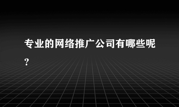 专业的网络推广公司有哪些呢？