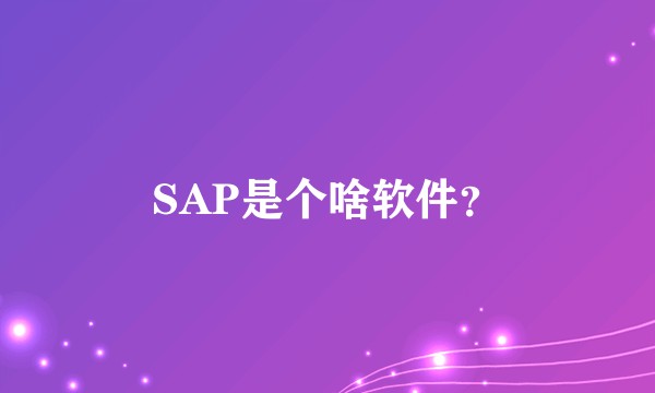 SAP是个啥软件？