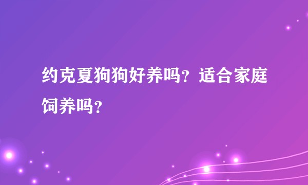 约克夏狗狗好养吗？适合家庭饲养吗？