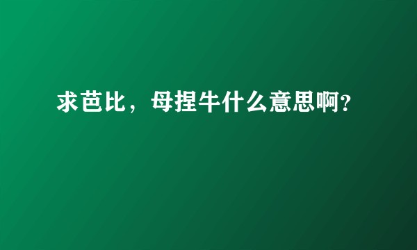 求芭比，母捏牛什么意思啊？