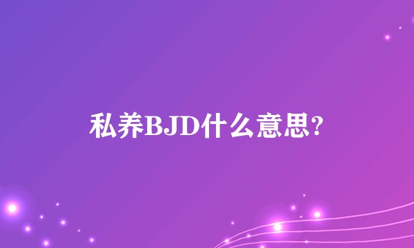 私养BJD什么意思?