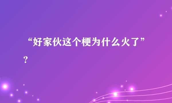 “好家伙这个梗为什么火了”？
